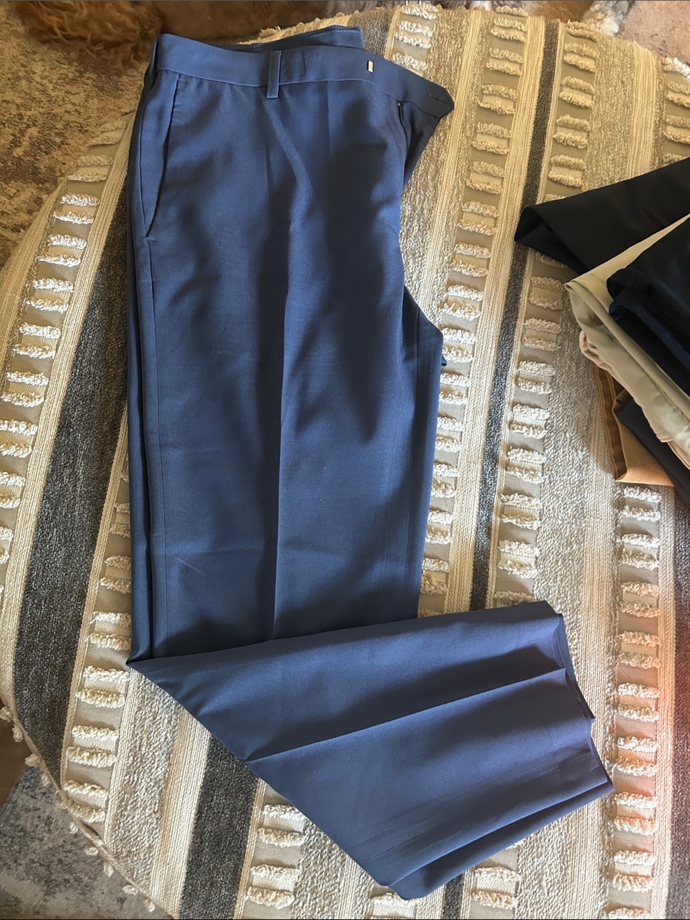 Van Heusen Classic Dress Pants in Navy